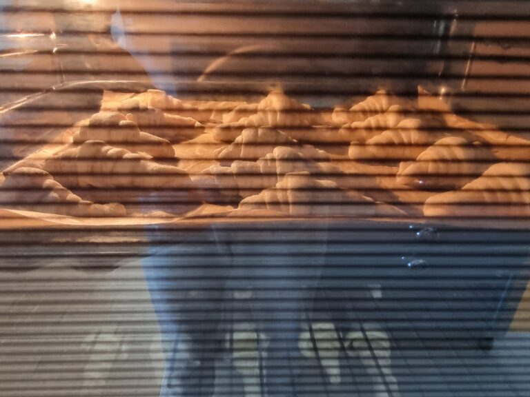 21c2a6be-77d5-4483-afa4-f4a6dcb38591